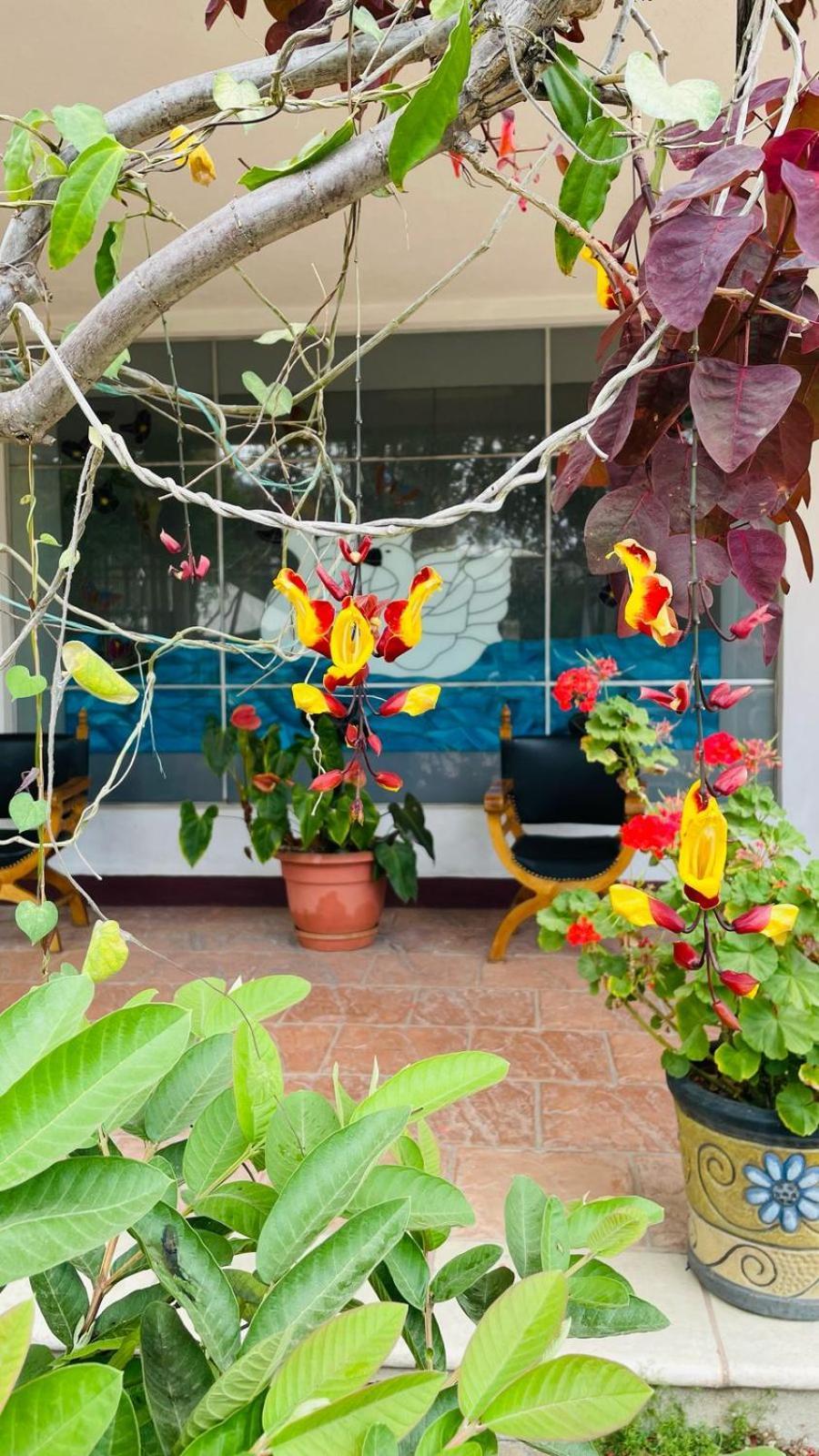 La Chacra De Joel Hotel Huehuetenango Kültér fotó